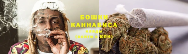 винт Магас